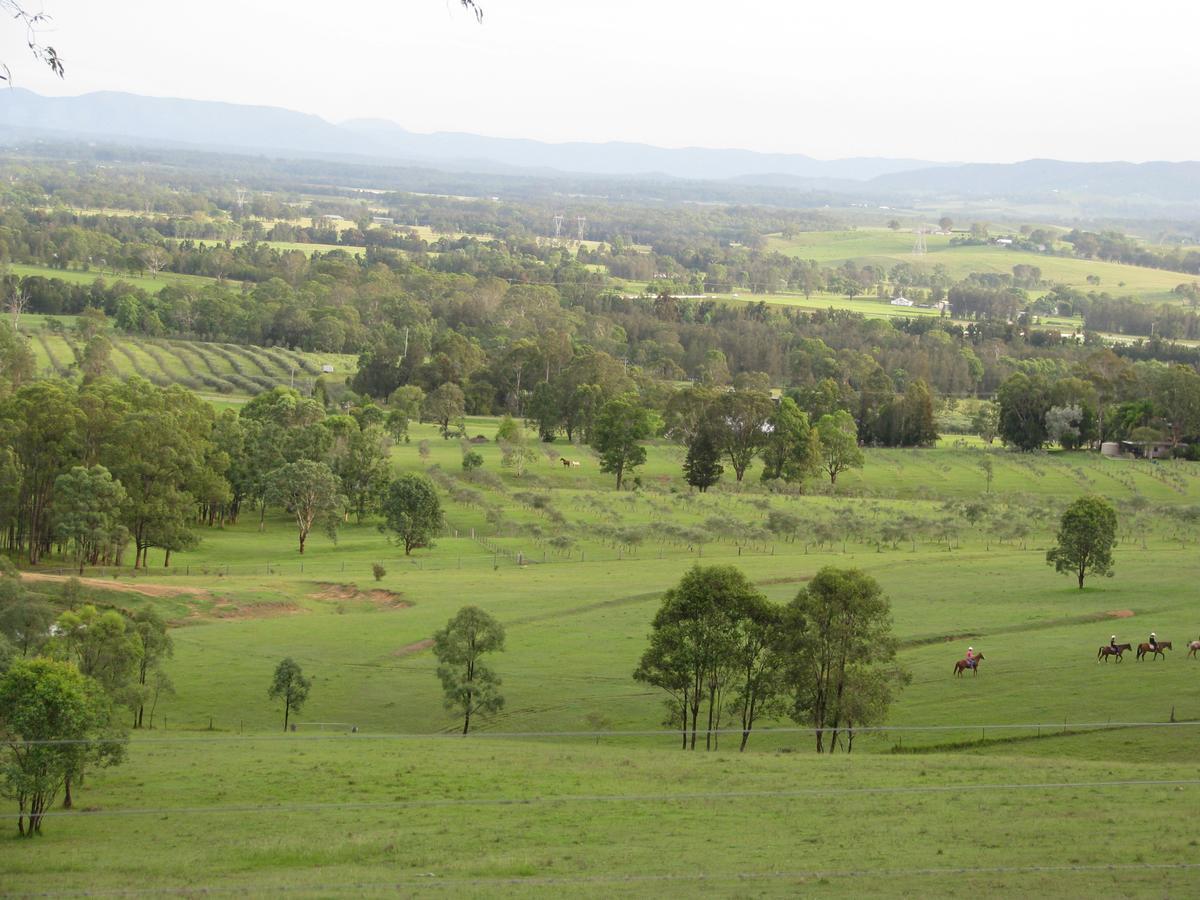 Hill Top Country Guest House Lovedale Buitenkant foto