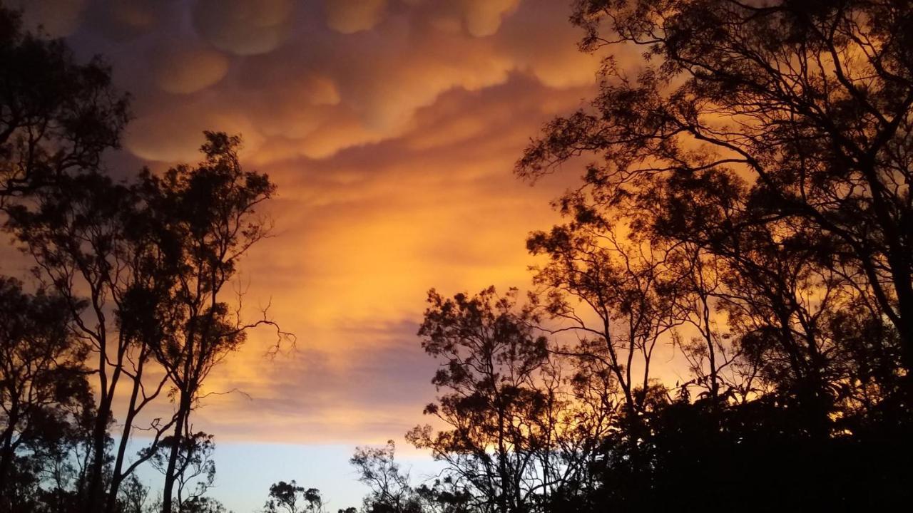 Hill Top Country Guest House Lovedale Buitenkant foto